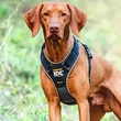 Kép 4/10 - IDC® LONGWALK kutyahám - JULIUS-K9®