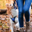 Kép 7/10 - IDC® LONGWALK kutyahám - JULIUS-K9®