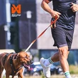Kép 3/10 - PÓRÁZ - MOVE – Non-stop