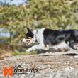 Kép 3/10 - NYAKÖRV - CRUISE – Non-stop