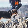 Kép 6/10 - NYAKÖRV - CRUISE – Non-stop