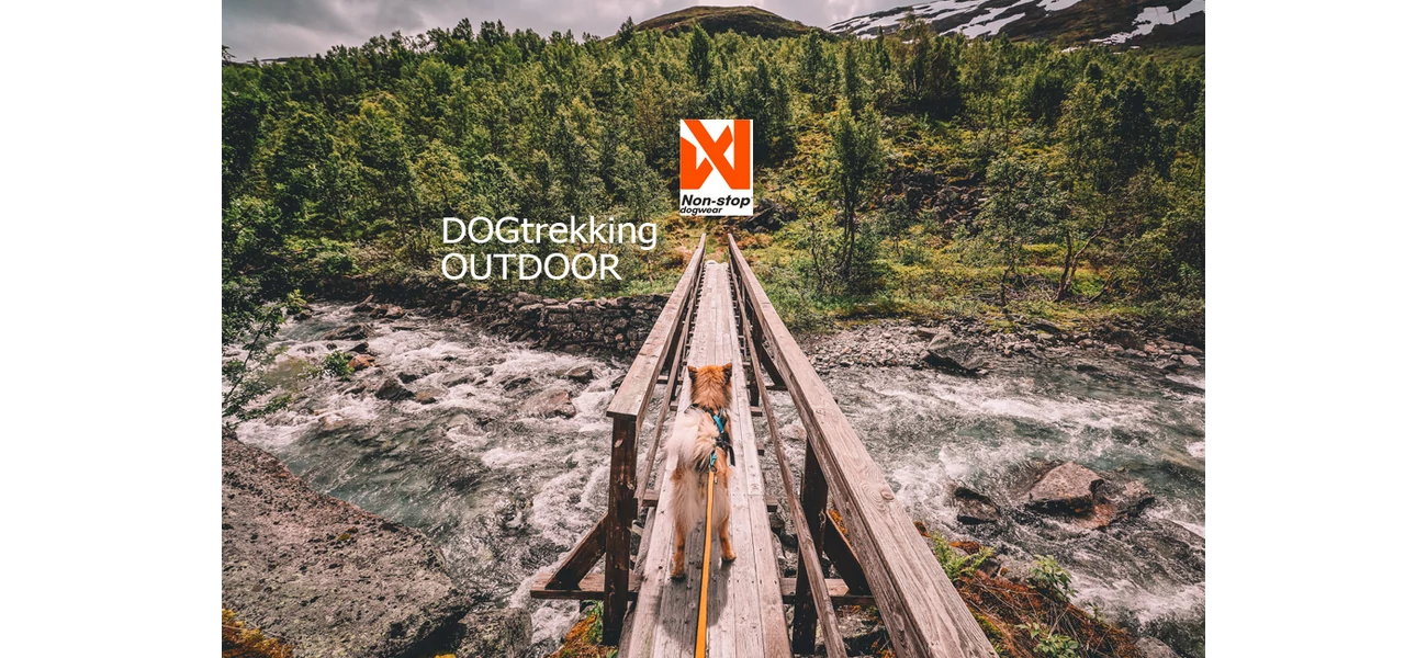 DOGtrekking - NONSTOP