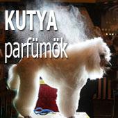 KUTYA parfümök KUTYA parfümök
