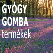 GYÓGYGOMBÁK