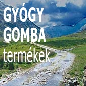 GYÓGYGOMBA termékek