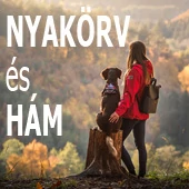 Nyakörvek / hámok