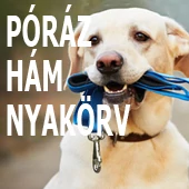PÓRÁZ, NYAKÖRV, HÁM