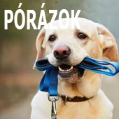 Pórázok