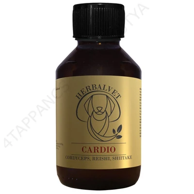 CARDIO gyógygomba kivonat