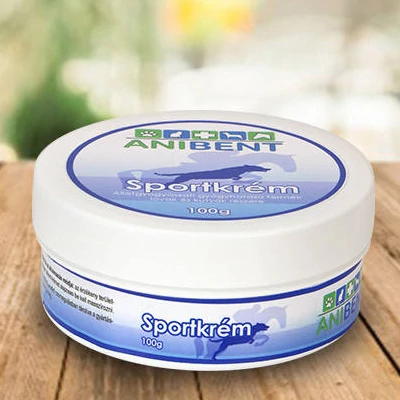 SPORTKRÉM (100 g) – ANIBENT