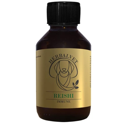 REISHI gyógygomba kivonat (100 ml)